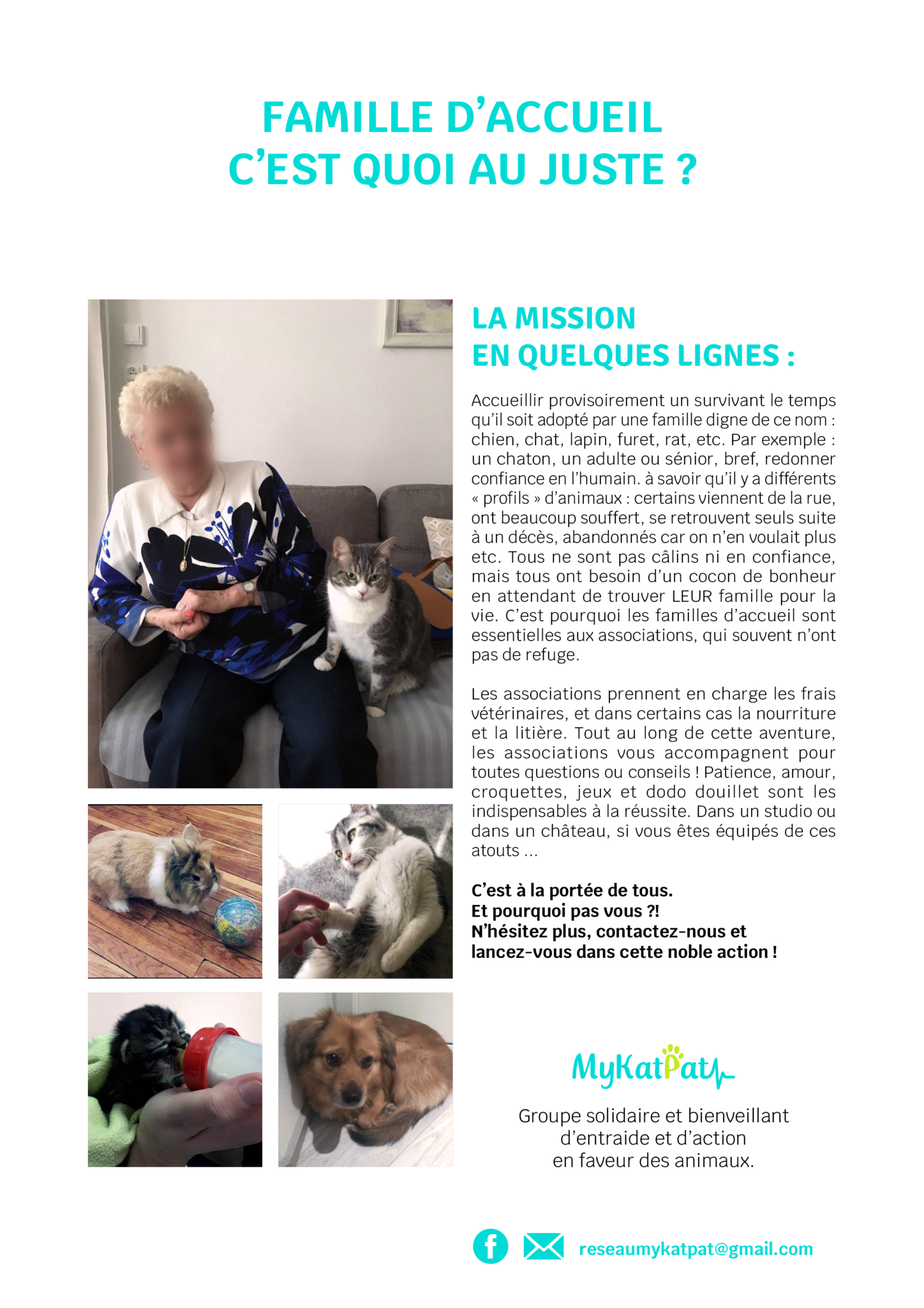 Animaux de compagnie, règlementation